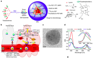 Design, Synthesis, and Characterizations of NPs